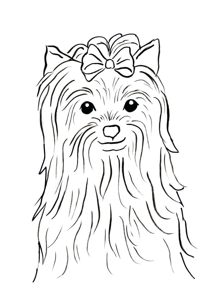 760x991 Yorkie Puppy Coloring Pages Terrier Coloring Page Bell Terrier