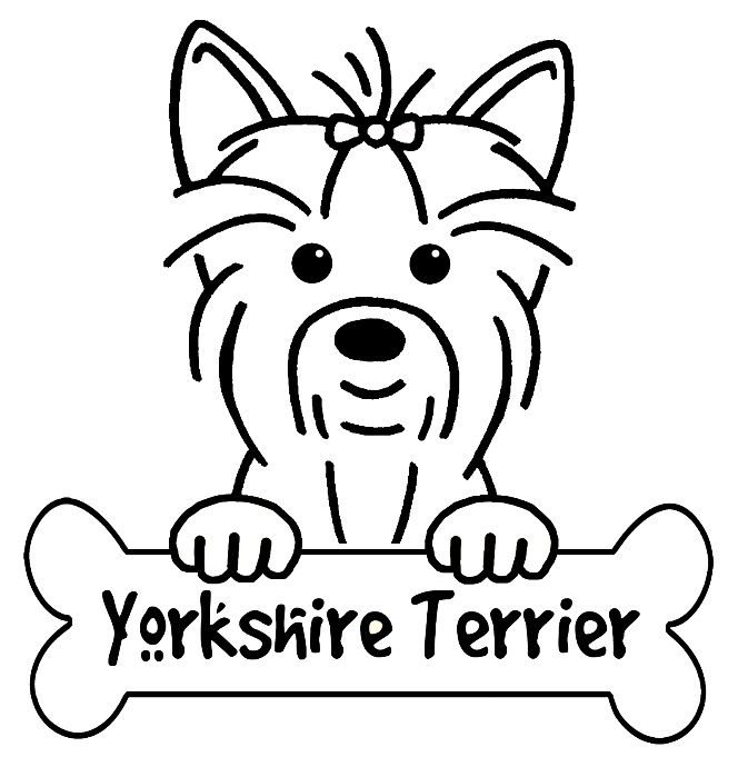 664x690 Yorkshire Terrier Coloring Pages