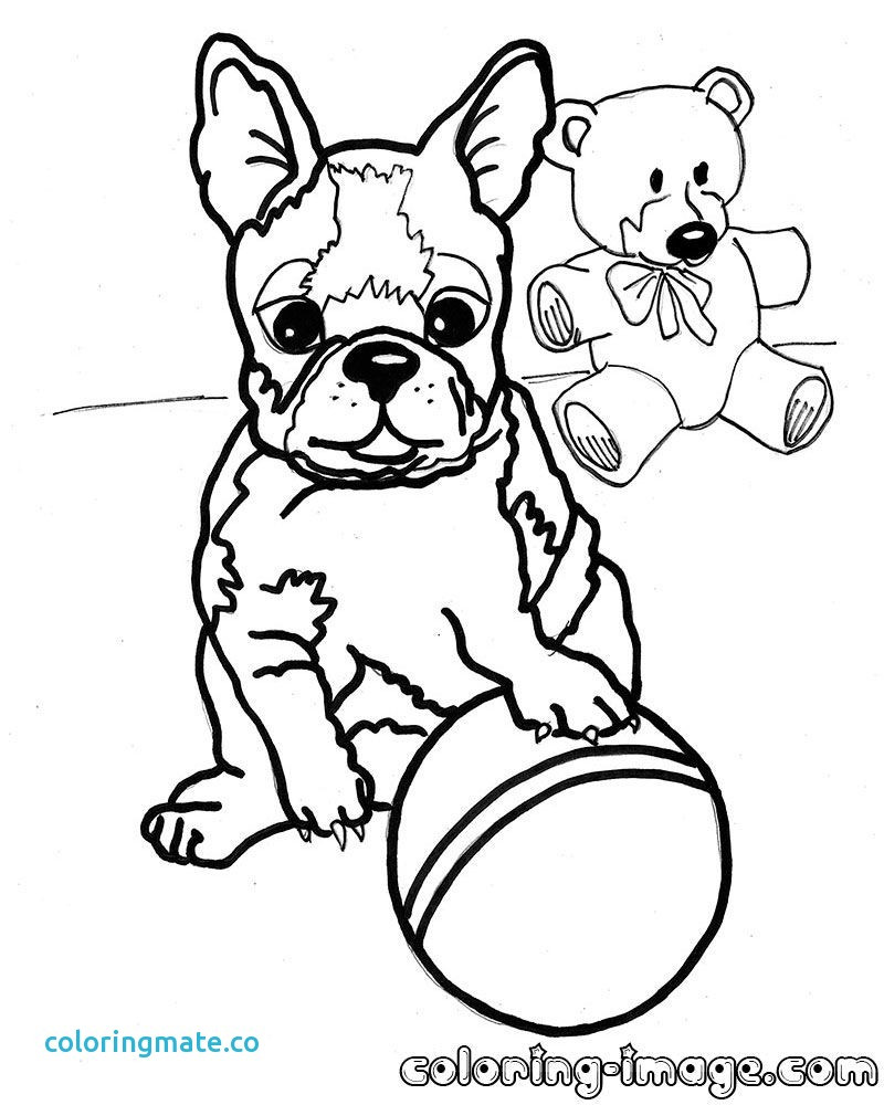 800x1000 Boston Coloring Pages Beautiful Terrier To Print Of Coloriafes