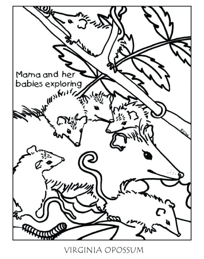 671x853 Virginia Coloring Page Classroom Pack Of Coloring Pages All