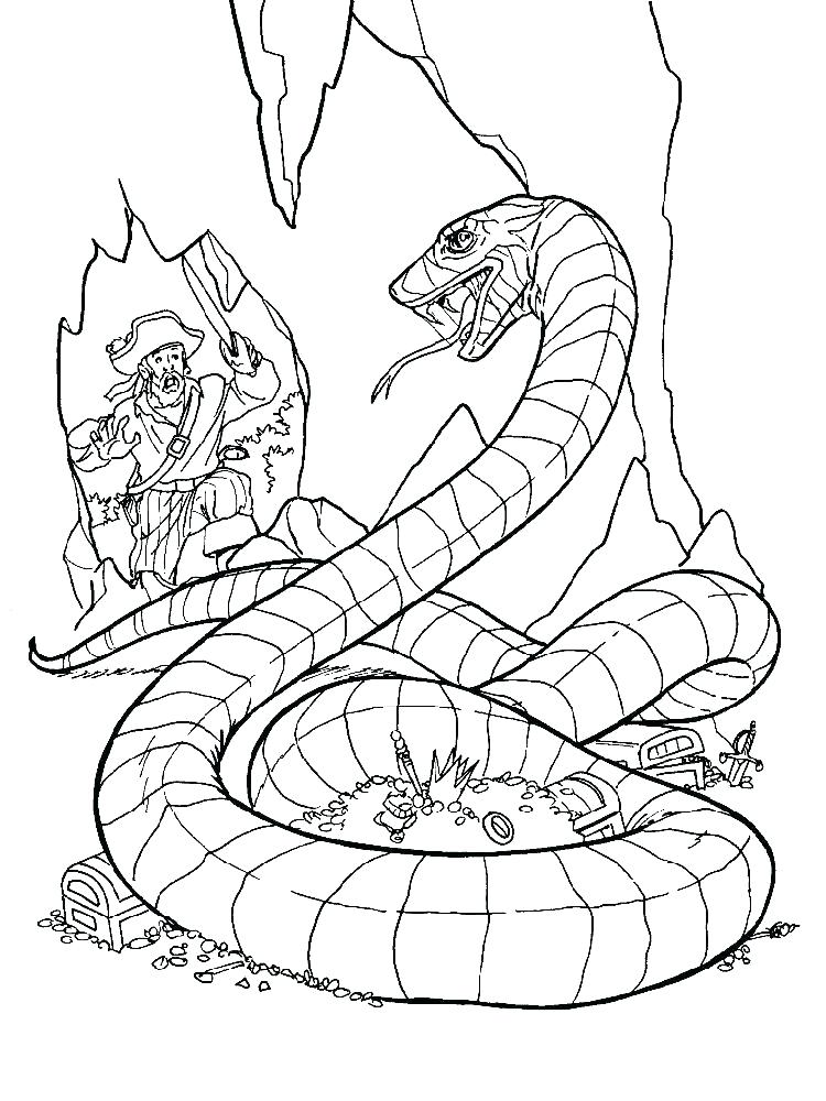 750x1000 Rattlesnake Coloring Pages Coloring Page Snake Ideal Snake