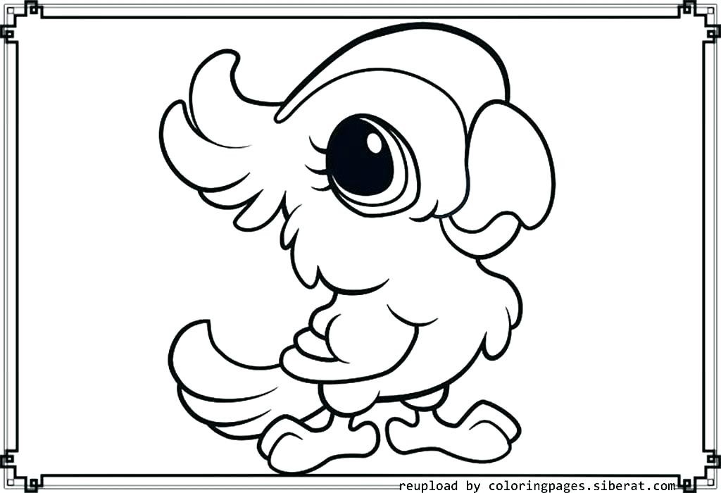 1024x700 Swamp Animals Coloring Pages Beautiful Coloring Animal Wetland
