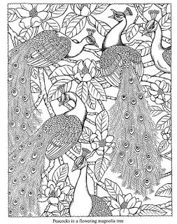 253x320 Wild Oak Academy Free Dover Coloring Pages