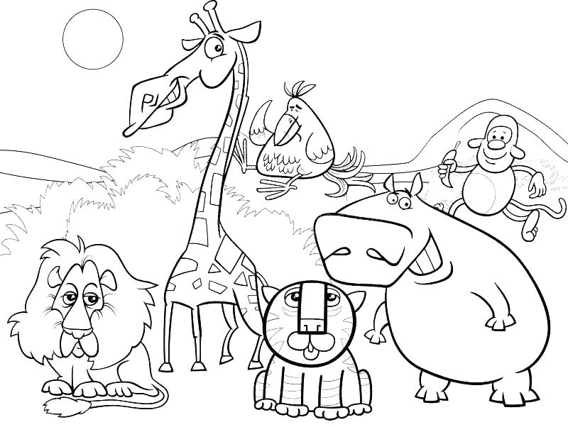 800x602 Desert Animals Coloring Pages