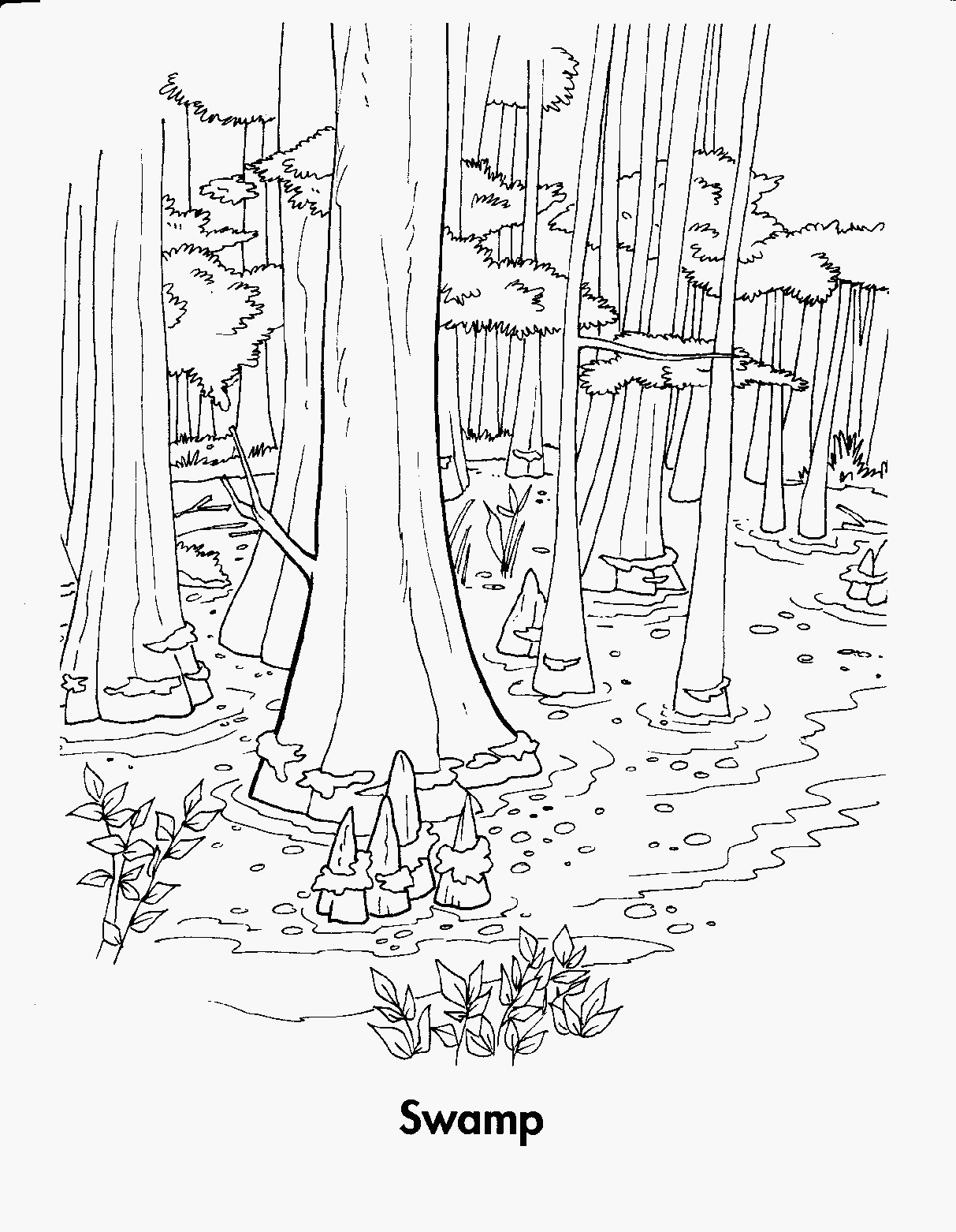 1213x1562 Wetlands, Coloring Sheets