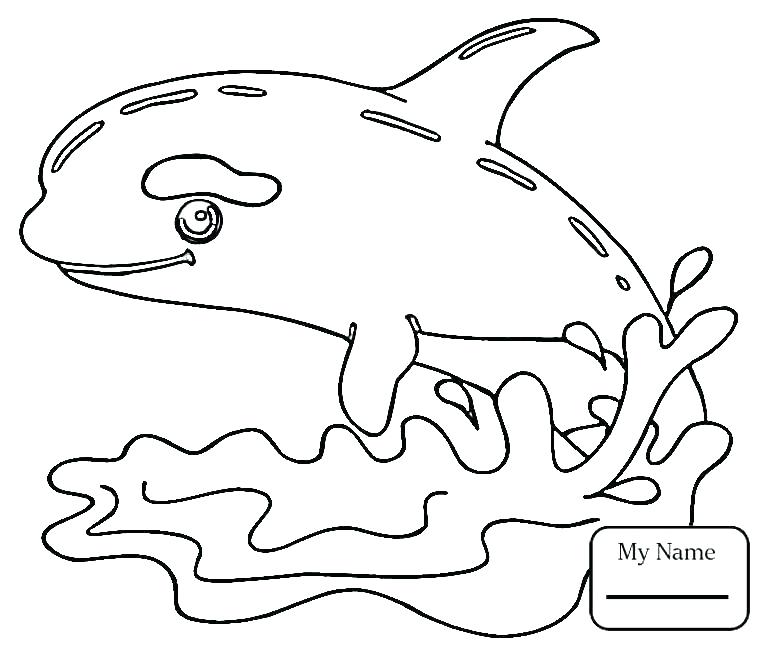 765x645 Whale Coloring Page