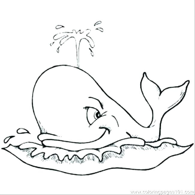 650x650 Whale Shark Coloring Pages