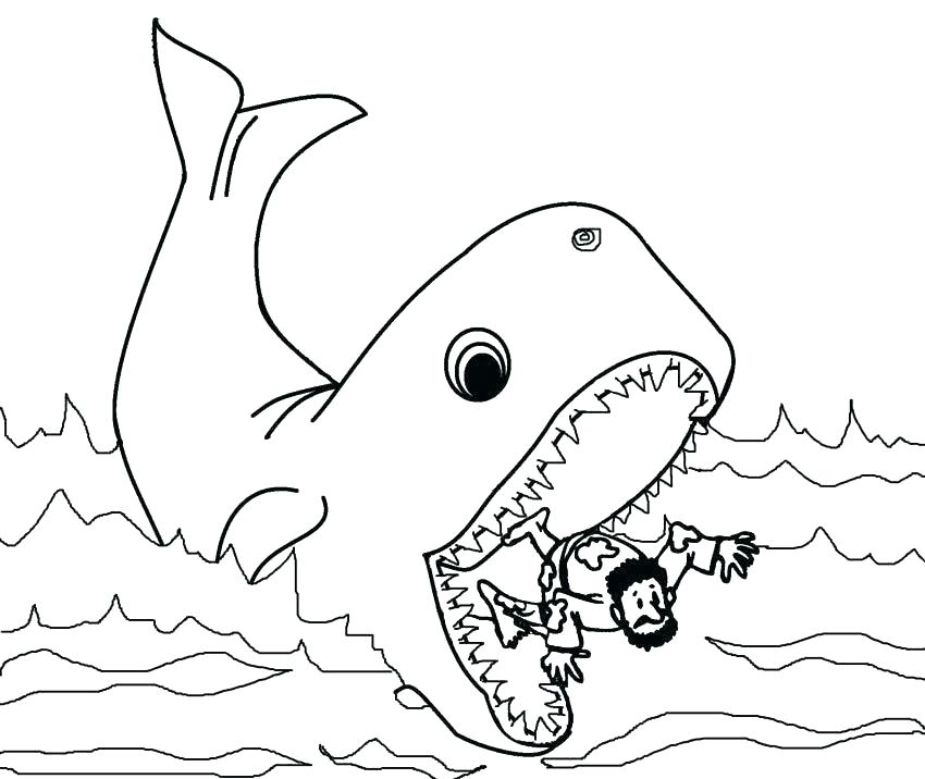 850x716 Couple Of Whales Coloring Pages Killer Whales Coloring Pictures