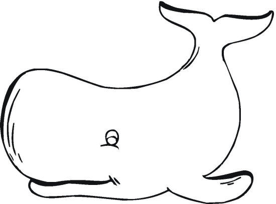 550x407 Whale Coloring Pages
