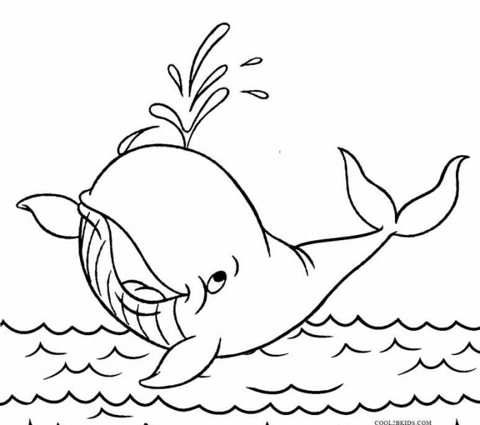678x600 Whale Coloring Pictures Whale Coloring Pages Printable Whale