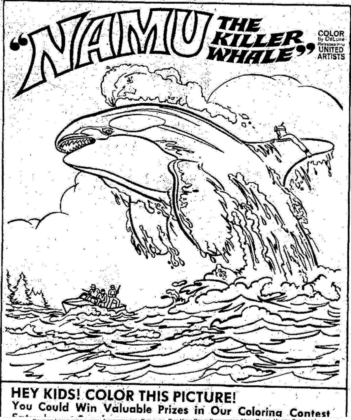 1337x1600 Killer Whale Coloring Pages Printable Image For Orca Plans