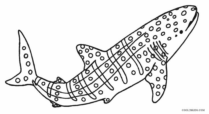 735x400 Whale Coloring Page New Printable Whale Shark Coloring Pages