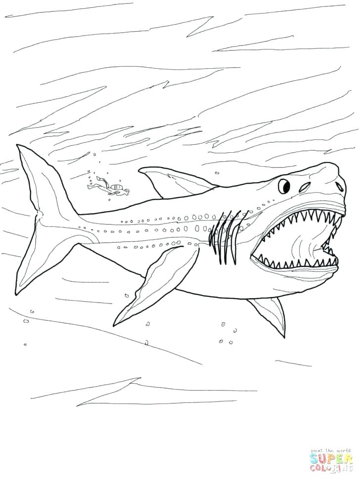 728x971 Whale Shark Coloring Page Coloring Page Shark Shark Coloring Pages