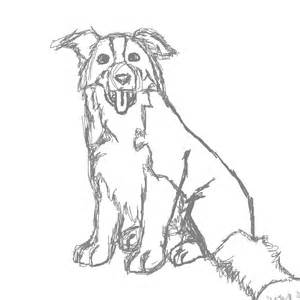300x300 Border Collie Coloring Book Pages Coloring Pages, Collie Coloring