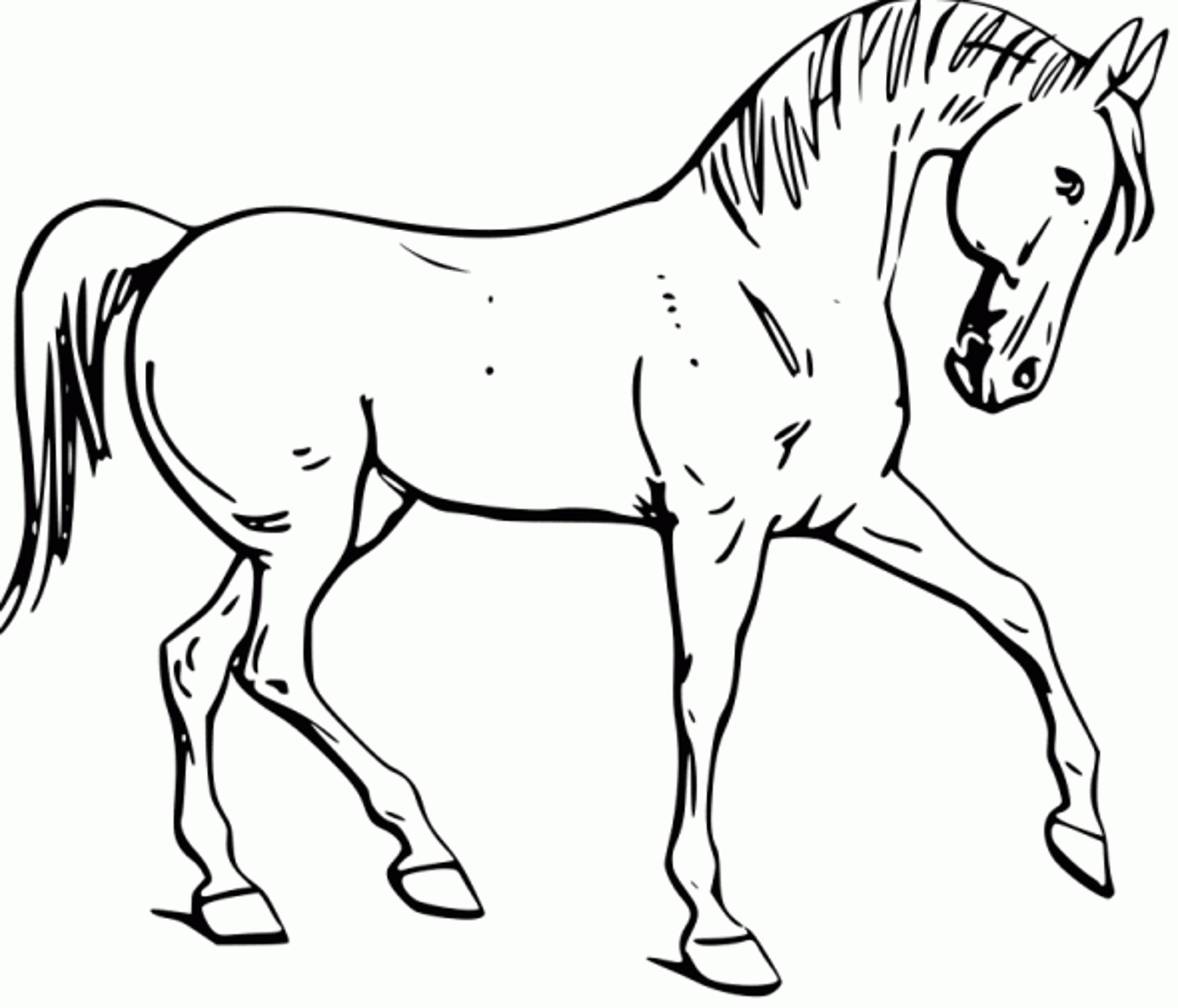 2000x1712 Fun Horse Coloring Pages For Your Kids Printable