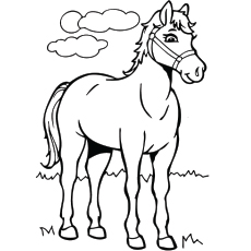 230x230 Top Free Printable Horse Coloring Pages Online