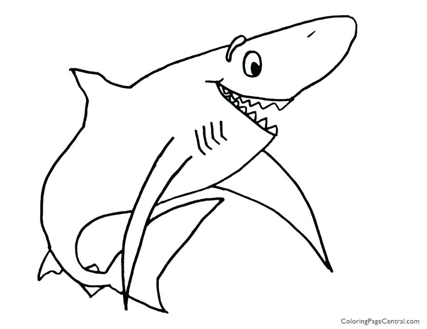878x678 Shark Picture To Color Various Great White Shark Color Coloring
