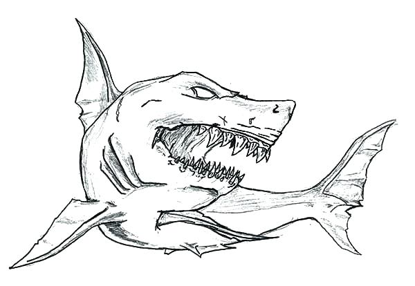 600x414 Great White Shark Coloring Pages Printable Icontent