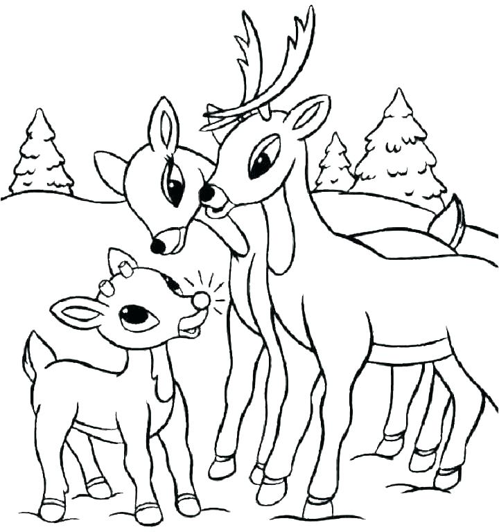 720x768 Whitetail Deer Coloring Pages Tailed Deer Coloring Page Coloring