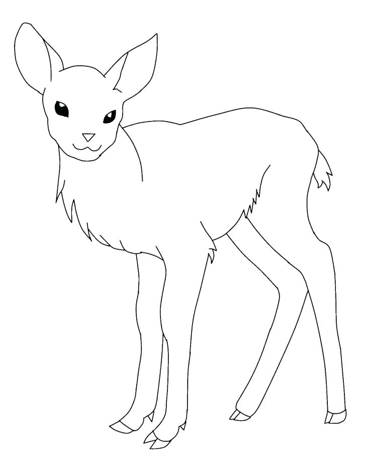 728x908 Whitetail Deer Coloring Pages