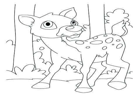 476x333 Deer Coloring Page