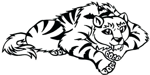 600x302 Tiger Coloring Pages Best Coloring Pages For Kids O The Owl Tiger