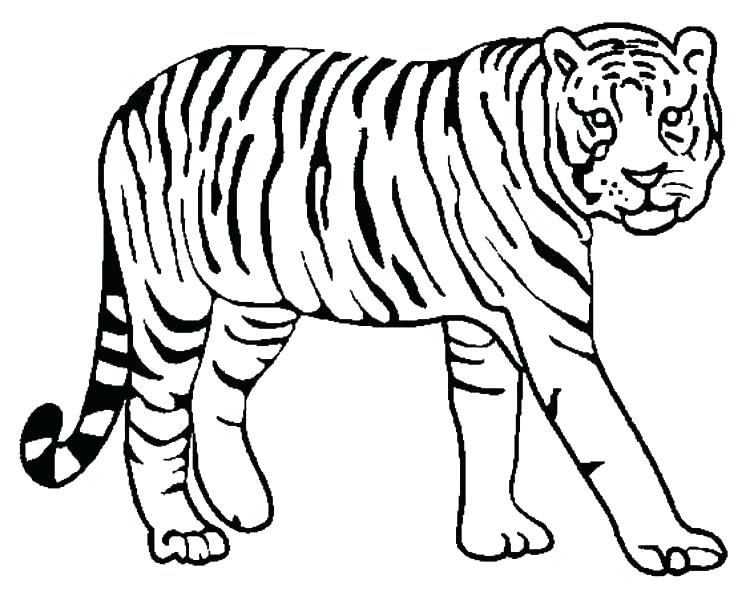 754x600 Tiger Coloring Pages Printable Coloring Pages Tiger Coloring