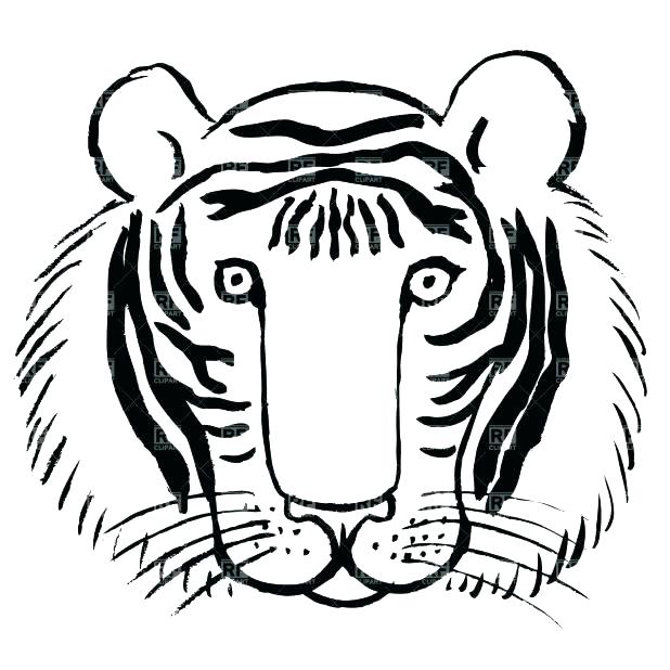 618x618 Tigers Coloring Pages Tiger Coloring Book Plus White Tiger