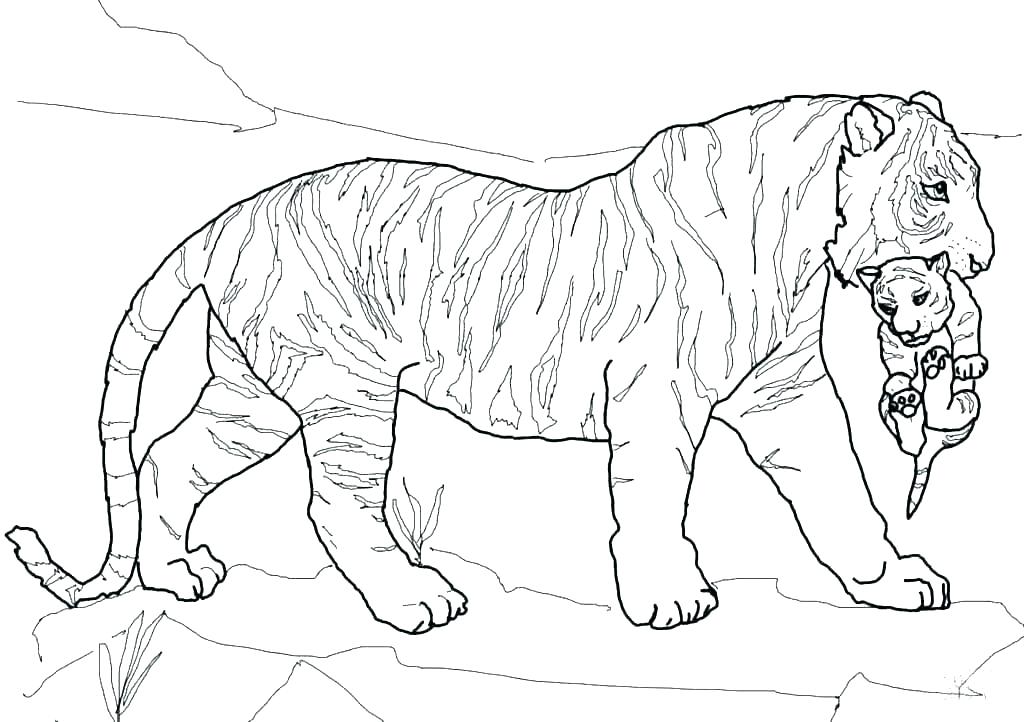 1024x722 White Tiger Coloring Pages Ultimate Spiderman White Tiger Man