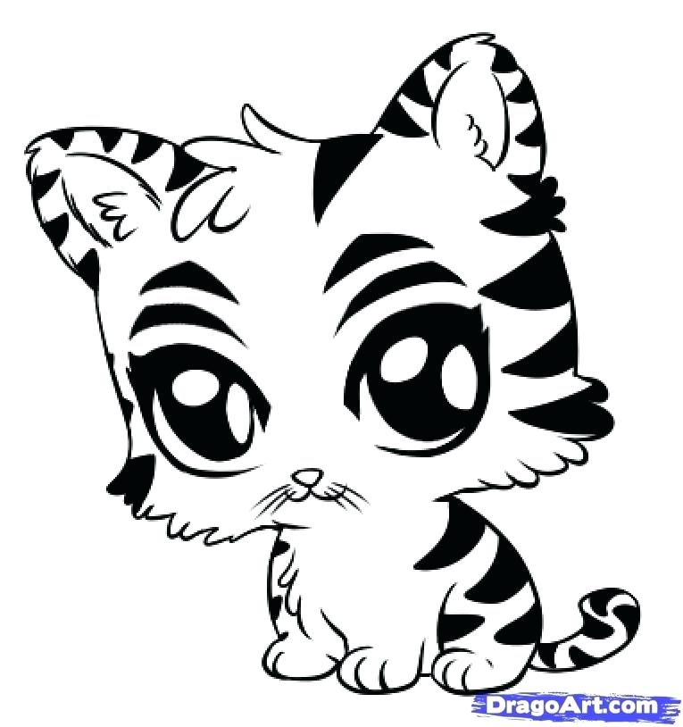 765x814 White Tiger Coloring Pages