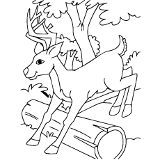 230x230 Top Deer Coloring Pages For Your Little Ones