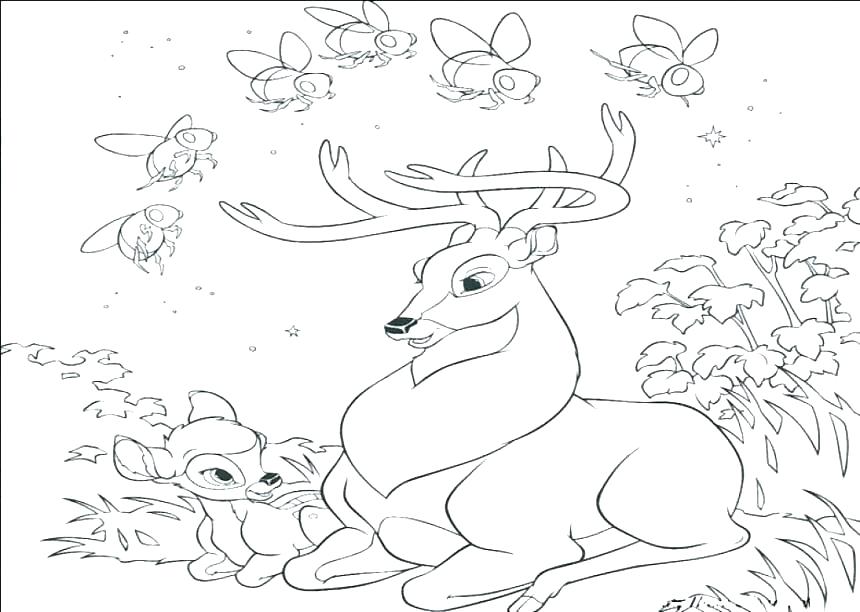 860x612 Coloring Pages Mother And Baby Baby Deer Coloring Pages Whitetail