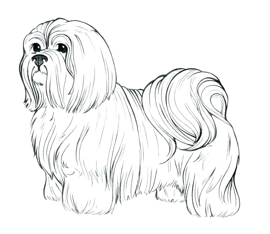 900x779 Realistic Dog Coloring Pages Printable Dog Pictures To Color
