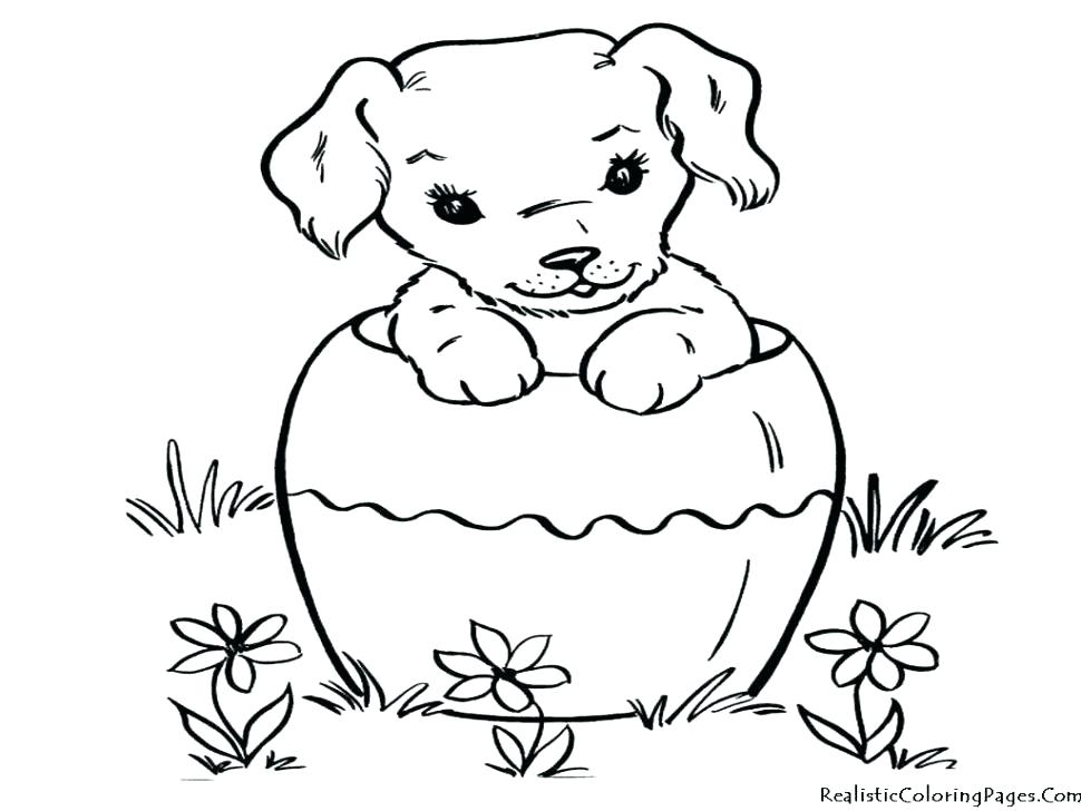 970x728 Weiner Dog Coloring Pages