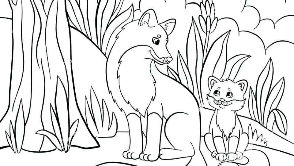 960x544 Realistic Animal Coloring Pages Also Wild Animal Coloring Pages