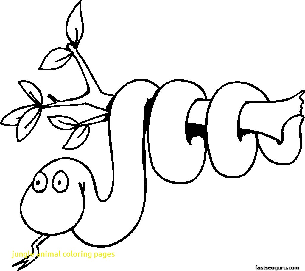 1024x911 Jungle Animal Coloring Pages With Wild Page Ribsvigyapan Jungle