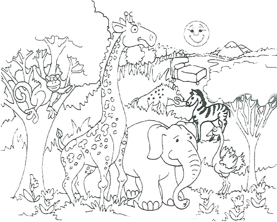 940x755 Wild Animal Coloring Pages For Adults