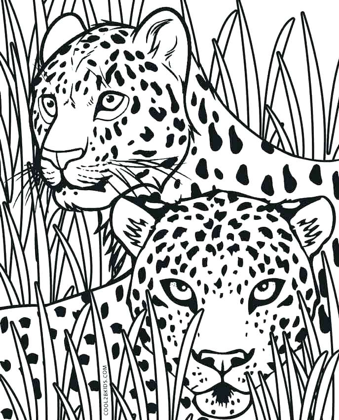 687x850 Cheetah Print Coloring Pages Cheetah Print Coloring Pages