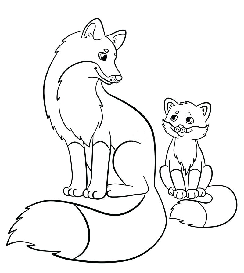 800x894 Cute Baby Coloring Pages Download Coloring Pages Wild Animals