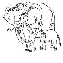 220x220 Wild Animal Coloring Pages