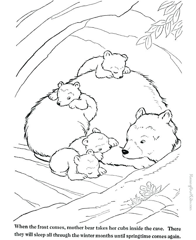 670x820 Wild Animal Coloring Pages As Well As Wild Animals Coloring Pages