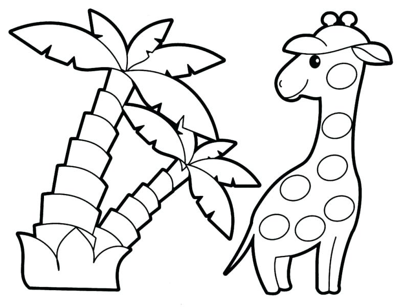 788x600 Animal Color Page Printable Baby Zoo Animals Coloring Pages Color