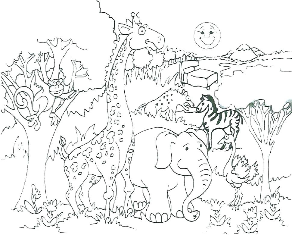 970x780 Wildlife Coloring Pages Printable Animal Coloring Pages For Kids