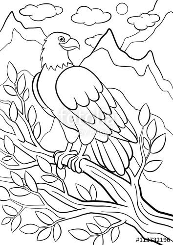 354x500 Coloring Pages Wild Birds Cute Eagle Sits On The Tree Branch
