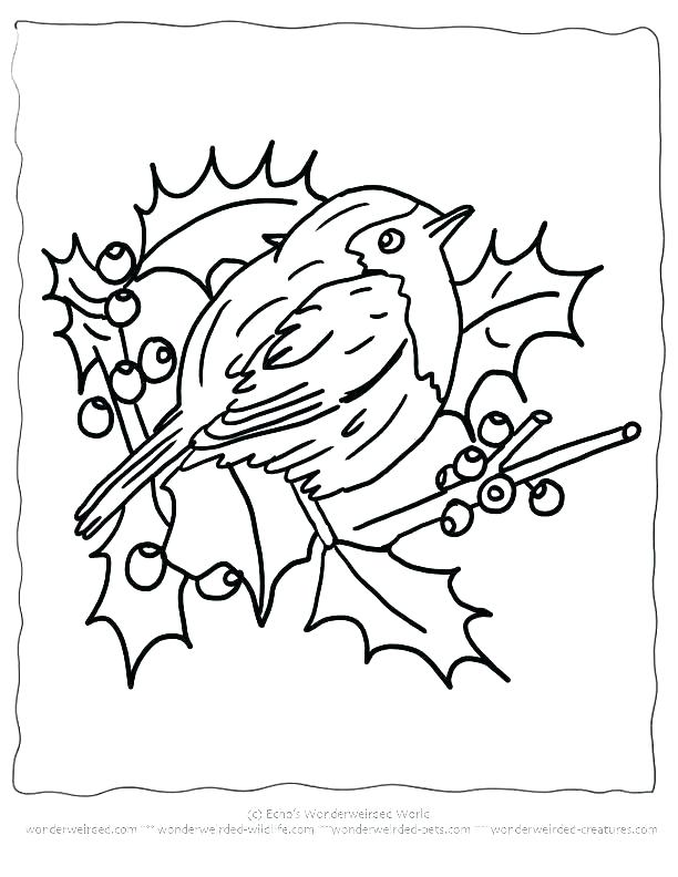612x792 Robin Bird Coloring Pages Bird Printable Coloring Pages Coloring