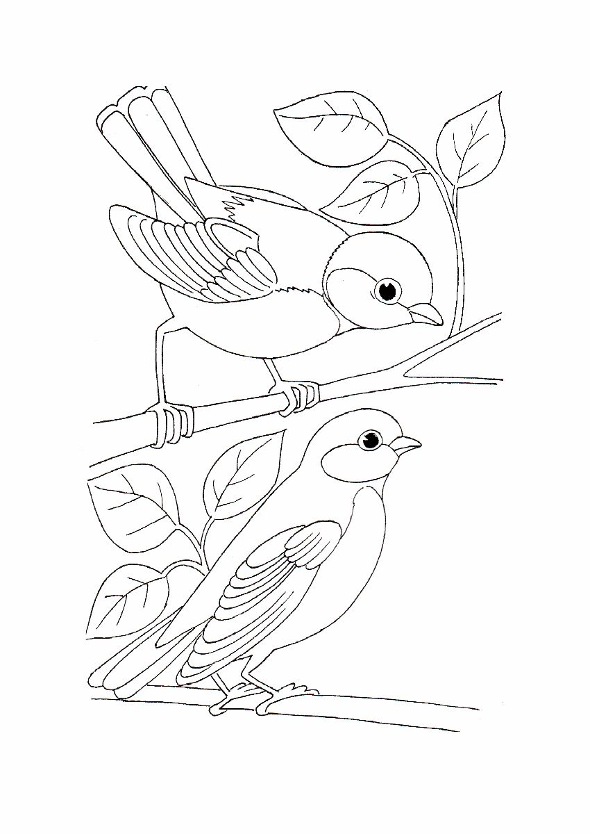 850x1200 Simple Bird Coloring Pages Best Coloring Page Site Mandalas