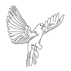 230x230 Top Free Printable Bird Coloring Pages Online