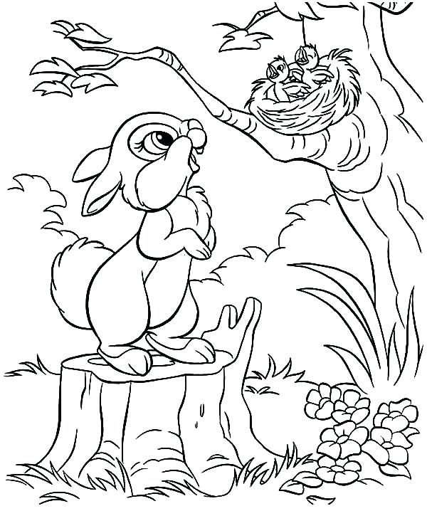 600x718 Baby Bird Coloring Pages Coloring Pages Collection