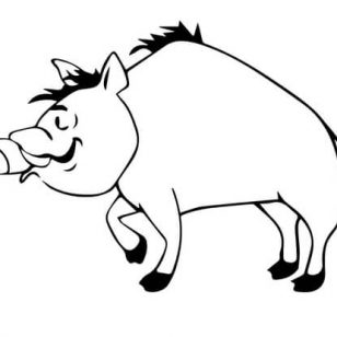 308x308 Pictures Of Wild Boars Coloring Pages