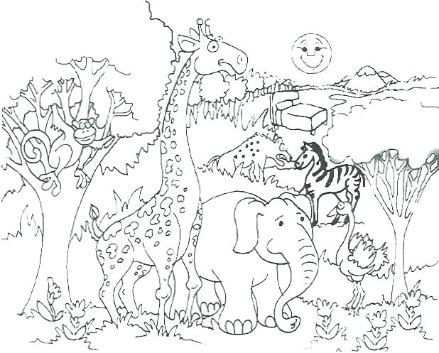 618x497 Wild Animals Coloring Pages Animal Coloring Pages Free Large Size